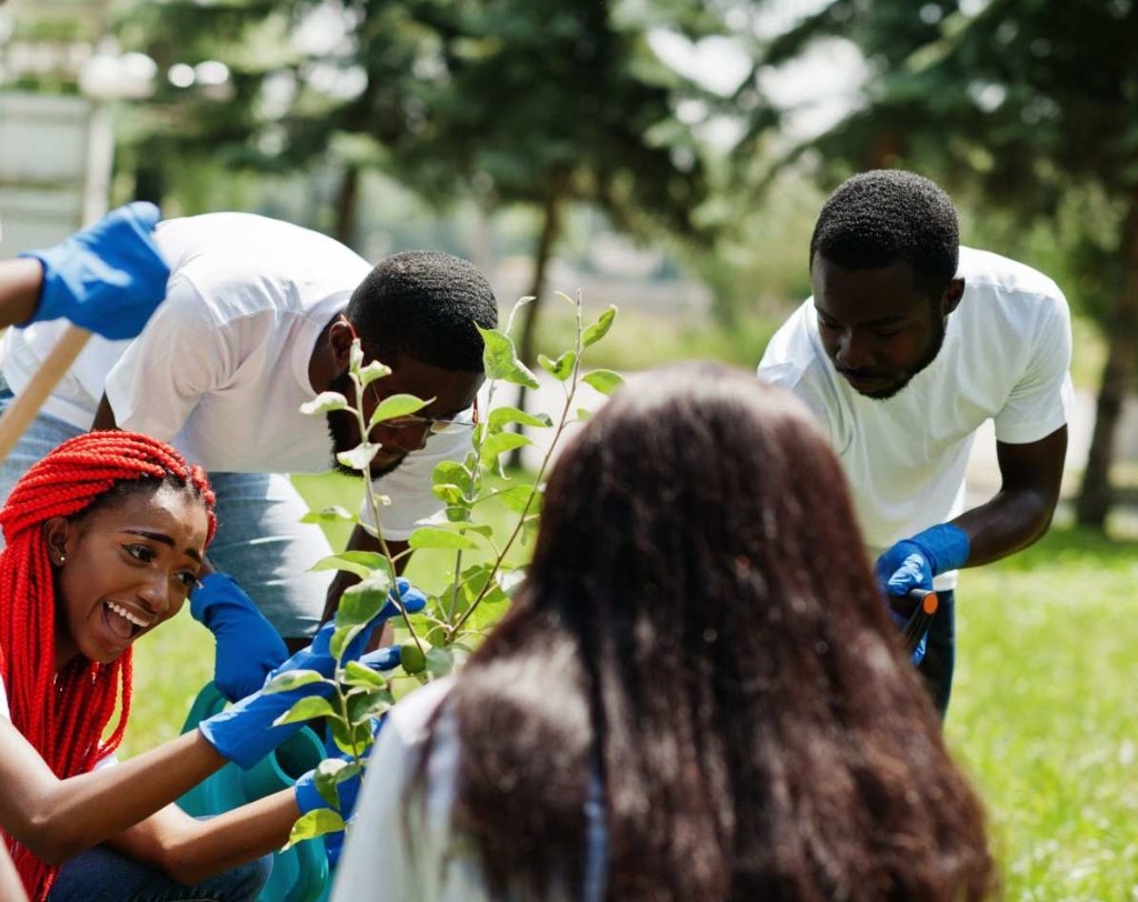 Social work & community development